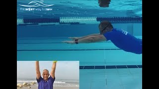 Learn to swim butterfly in 10 easy steps [upl. by Anrim]