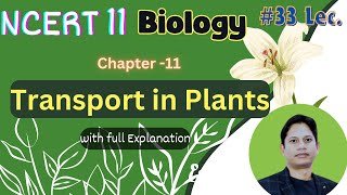 Transport in Plants  Class 11 NCERT Biology Explain  NCERT Lec33 [upl. by Eiuqnom]