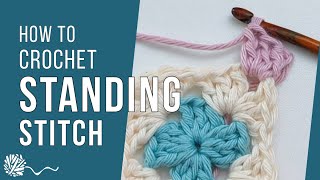 Standing Stitch  Neat Colour Change  Crochet Tutorial [upl. by Atinob]