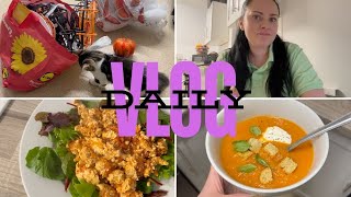 PERFIDNA MANIPULACJA 🤯 DAILY VLOG [upl. by Ibson]