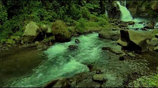 River Sounds for Meditation Peaceful Flowing Water for Inner Relaxation [upl. by Ailime]