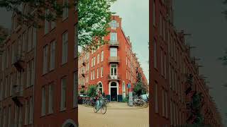 De pijp the intellectual face of Amsterdam🍿📽️ short amsterdam explore cinematography holland [upl. by Chamkis]