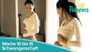 Schwangerschaftswoche 10 bis 15  Anzeichen und Symptome  Pampers [upl. by Ahsiekin248]