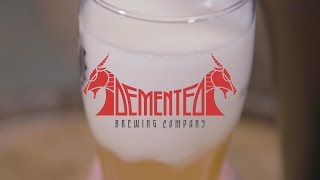 Fizzics Brewers Spotlight  Demented Brewing Company [upl. by Kele]