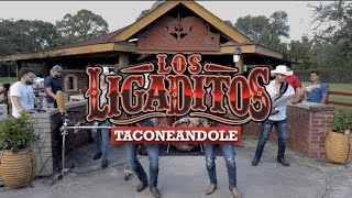 Los Ligaditos  quotTaconeandolequot En Vivo [upl. by Llekcm]