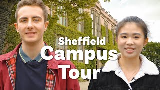 Campus Tour  University of Sheffield [upl. by Hock981]