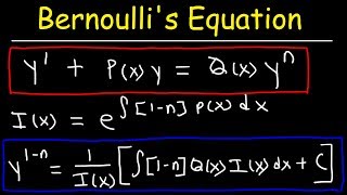 Bernoullis Equation For Differential Equations [upl. by Hannis]