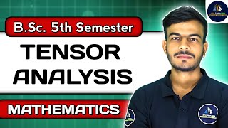 Tensor Analysis  Tensor Analysis in Hindi  BSc Maths 5th Semester [upl. by Atilrep]