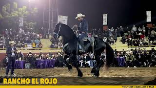 🏆De los MEJORES FRISONES en la FERIA GANADERA DE CULIACÁN [upl. by Nellie]