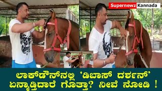 Dboss Darshan Enjoying With His Horse in Farm House  Challenging Star  Mysore  Supernewz Kannada [upl. by Notfa]