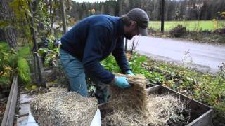 Förbered din odlingslåda på hösten med ensilage [upl. by Dorinda]