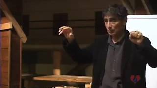 Brain Development amp Addiction with Gabor Mate [upl. by Baillie]