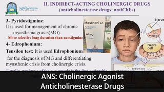 8 ANS Parasympathomimetic Indirect Acting Cholinergic Agonist Anticholinesterase Drugs [upl. by Hudson957]