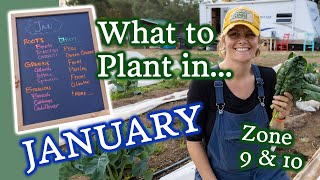 January Planting Guide for Zone 9  10 Gardeners amp Winter Growing Tips [upl. by Eillek776]