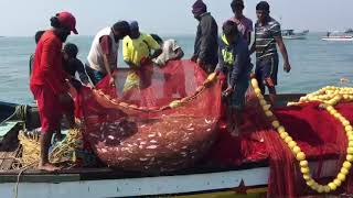 Boat fishing at benaulim beach Goa [upl. by Yenobe328]