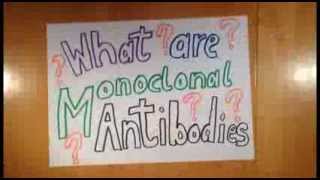 What are Monoclonal Antibodies [upl. by Myrtie227]