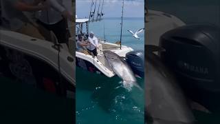 quotMassive Tuna Caught on Rod Epic Fishing Struggle in the SeaFishing Pesca Pêche Angeln Pesca [upl. by Eadwine]