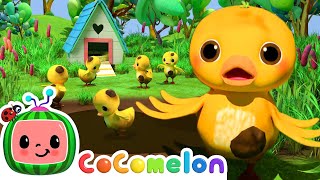 Can You Find The Ducks  Hide amp Seek  Games For Children  Cocomelon Nursery Rhymes amp Kid Songs [upl. by Dijam]