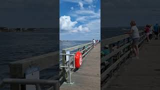 Fishing  Captree State Park [upl. by Eikkin838]