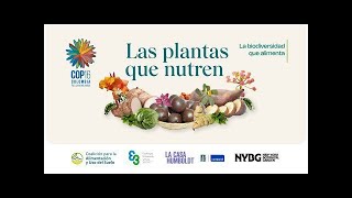 «La Biodiversidad que alimenta» Las Plantas que Nutren [upl. by Sheila]