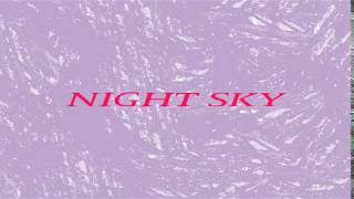 Gundelach  Night Sky Official Audio [upl. by Getter992]