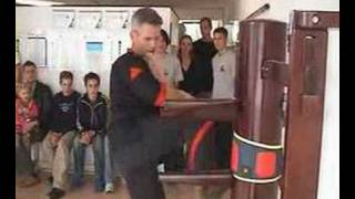 UCT™ Yong Chun Training Impressions Sifu Benno Westra amp Pele [upl. by Ver]