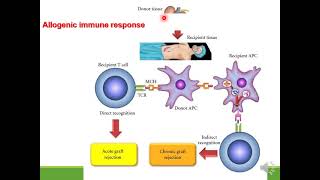 Immunosuppressive drugs [upl. by Attalie]