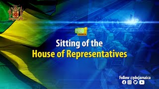 JISTV  Sitting of the House of Representatives [upl. by Orsay524]