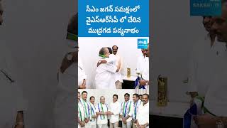 వైఎస్‌ఆర్ సీపీ లో చేరిన ముద్రగడ పద్మనాభం mudragadapadmanabham cmjagan sakshitvlive [upl. by Konstanze572]