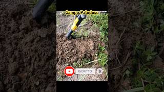 Il migliore cacciatore di Tesori con il Metal Detector 🤣 metaldetecting adventure metaldetector [upl. by Merta]