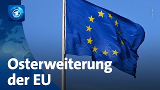 20 Jahre EUOsterweiterung Ausländische Arbeitskräfte in deutschen Firmen [upl. by Erie]