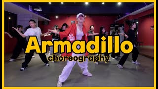 부산댄스학원걸스힙합 Balming Tiger  Armadillo Choreography by Lily 걸스힙합 안무  부산댄스입시학원  서면댄스학원 [upl. by Ennovaj677]