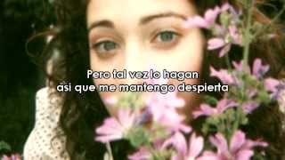 Regina Spektor  The Flowers Subtitulada [upl. by Elvina]