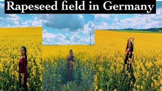 Rapeseed field in Germany Try out Vlog 1 [upl. by Ninaj]