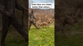 Some days are better simply then others 😂😵😒 shorts viral funny [upl. by Ahsiyt]