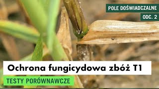 Ochrona fungicydowa zbóż w T1 cz 1 – testy porównawcze Soleil 274 EC [upl. by Berrie]