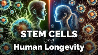 A Closer Look atStem Cells and Human Longevity [upl. by Letnwahs]