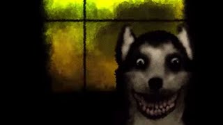 Smile dog [upl. by Dominik]