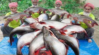 30 KG Big Pangas Fish Cutting amp Cooking by Grandpa  Panagasius Catfish Curry for Special People [upl. by Henryk892]