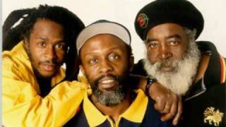 Steel pulse  Life without Music rollerskates [upl. by Mixie]