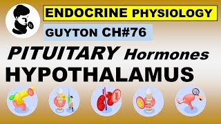 Ch76 Physiology Guyton  Pituitary Hormones and Hypothalamus  Hormones  Second Messenger [upl. by Enasus]