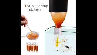 How to DIY Brine Shrimp Hatchery smart diy system [upl. by Aihsercal827]