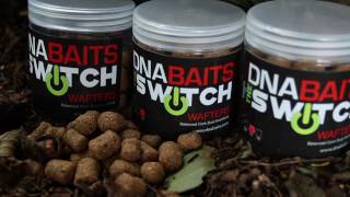 The Switch by DNA Baits  carp fishing [upl. by Harras540]