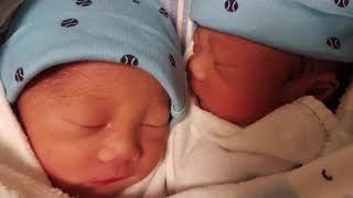 Monochorionic Diamniotic Twins I Identical Twins I Share the Same Placenta I TWINventures [upl. by Eded]