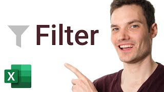 How to Filter in Excel [upl. by Elyrad8]