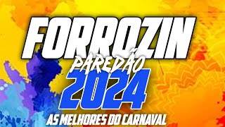 FORROZINHO 2024 CARNAVAL PAREDÃO AS MELHORES DO CARNAVAL 2024 piseiro nordeste paredão viral [upl. by Aubree553]