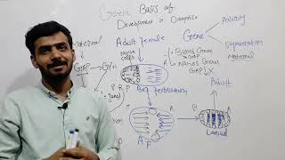 DEVELOPMENT IN DROSOPHILA Genetic Basis of development in Drosophila  Easy Concept [upl. by Nivonod]