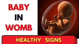 SIGNS of a HEALTHY BABY in the WOMB [upl. by Sidonius]