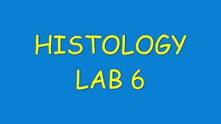 Histology Practical Lab 6  CARTILAGE  DR BYSON EM [upl. by Runkle764]