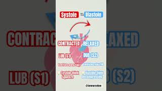 Systole vs Diastole systolic diastolic nursingschool nursingschoolstudents nursingstudent [upl. by Yesnik]